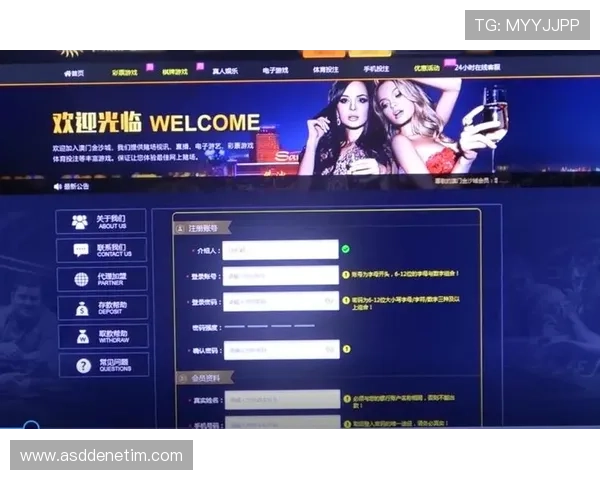 2026年最受欢迎的百家乐网站排行榜,高品质游戏环境与优质客户服务保障玩家体验